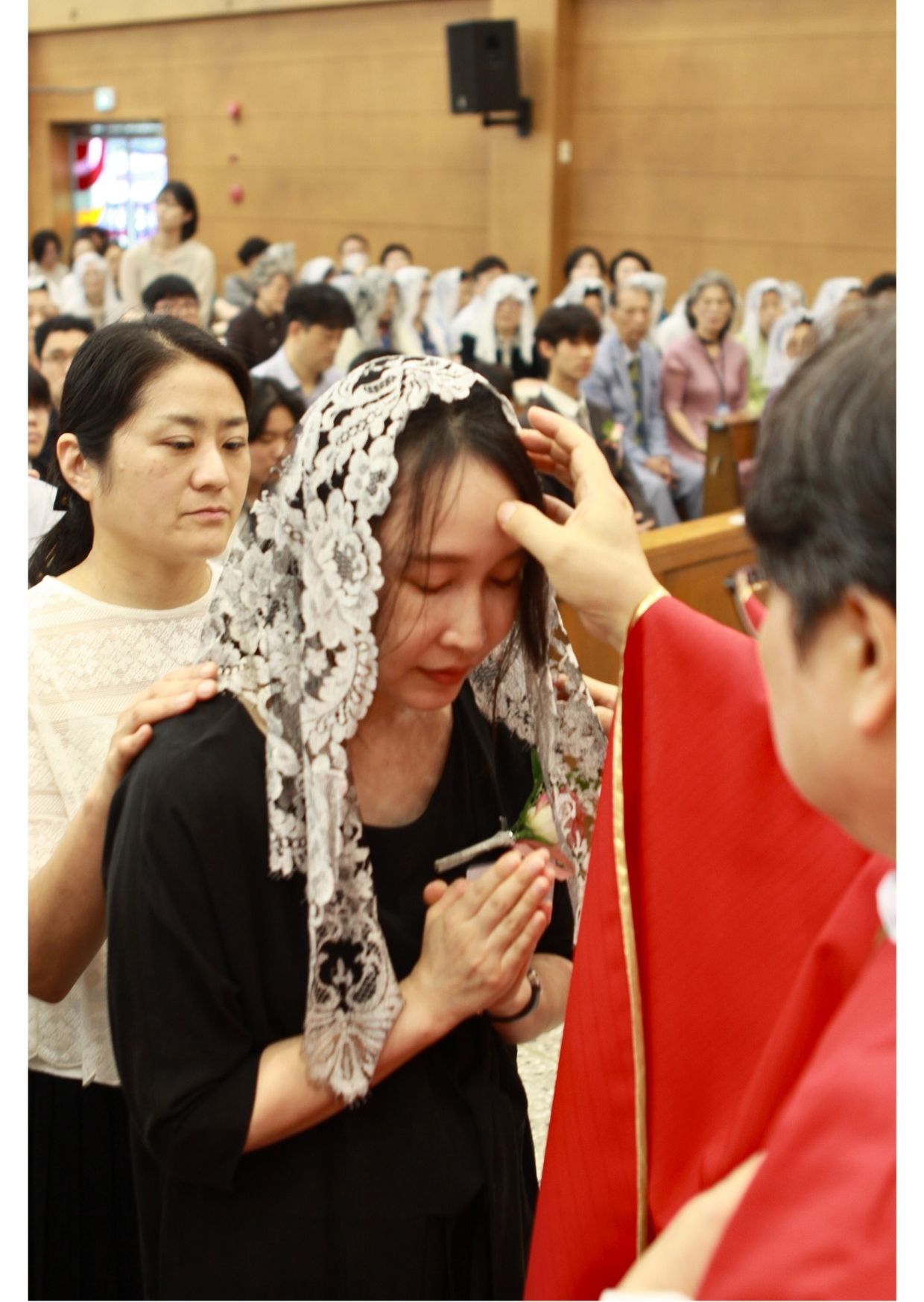 견진1.jpg