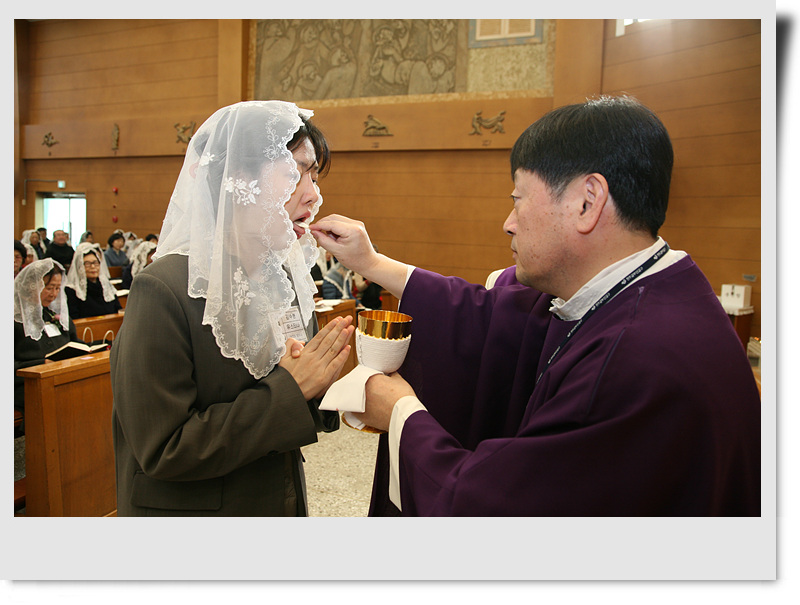 IMG_3800.jpg