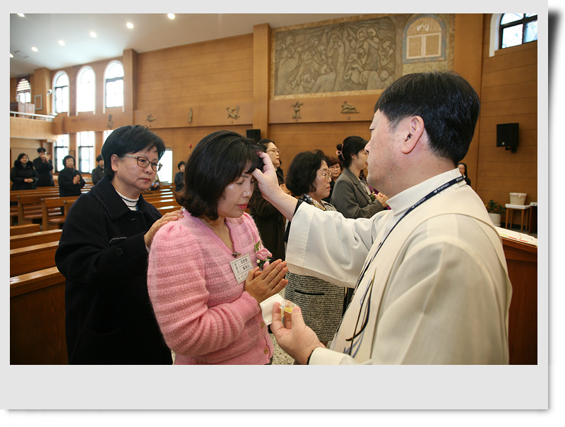 IMG_3729.jpg