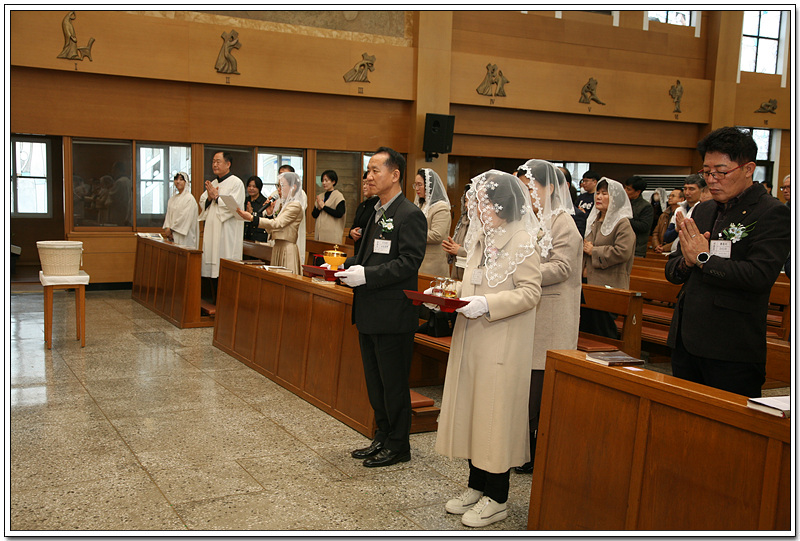 IMG_2447.jpg