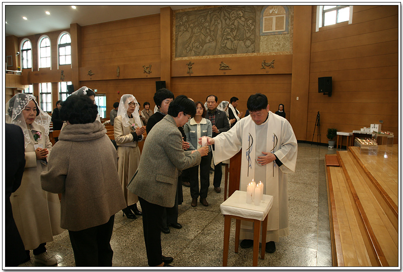 IMG_2419.jpg