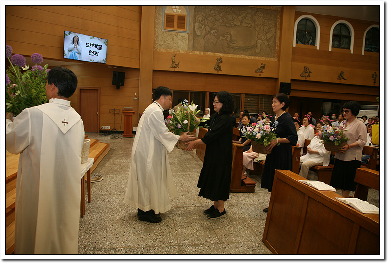 IMG_3267.jpg