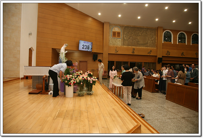 IMG_3279.jpg