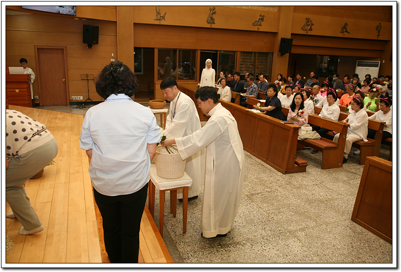 IMG_3271.jpg