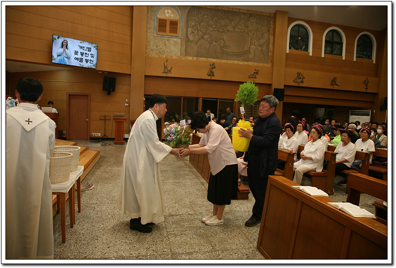 IMG_3269.jpg