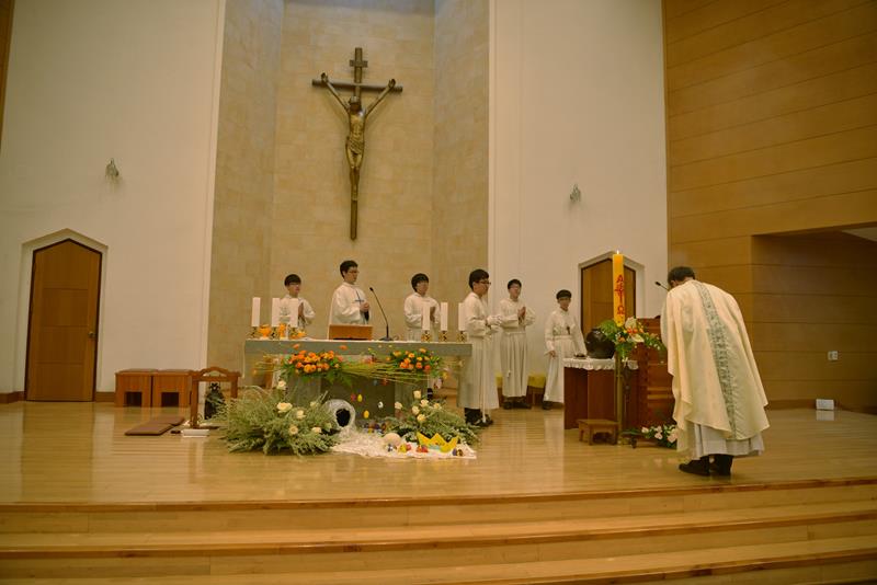 DSC_6087 (2).JPG