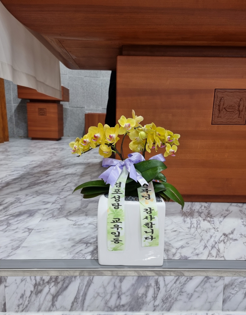 KakaoTalk_20240820_012616635_02-1.jpg