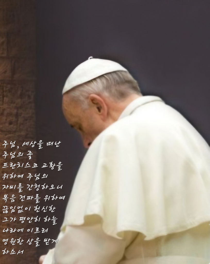 Screenshot_20250501_175509_NAVER.jpg