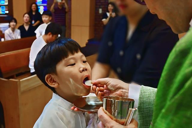 DSC_8116.jpg
