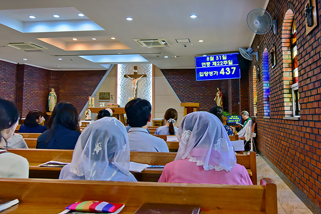 DSC_8086.jpg