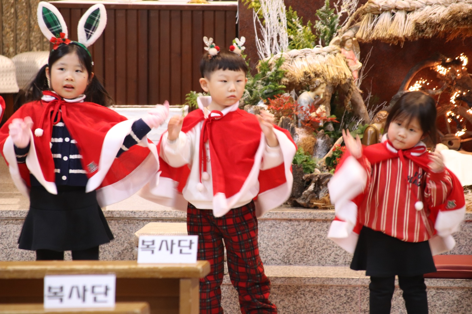성탄-01-09-1735424179652-2.jpg