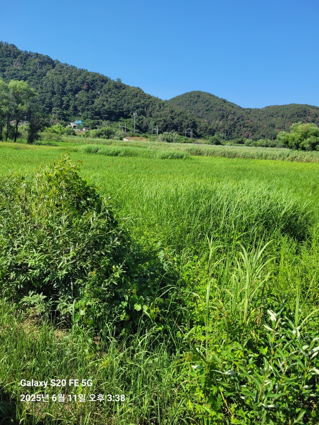 KakaoTalk_20250614_184744372_02.jpg