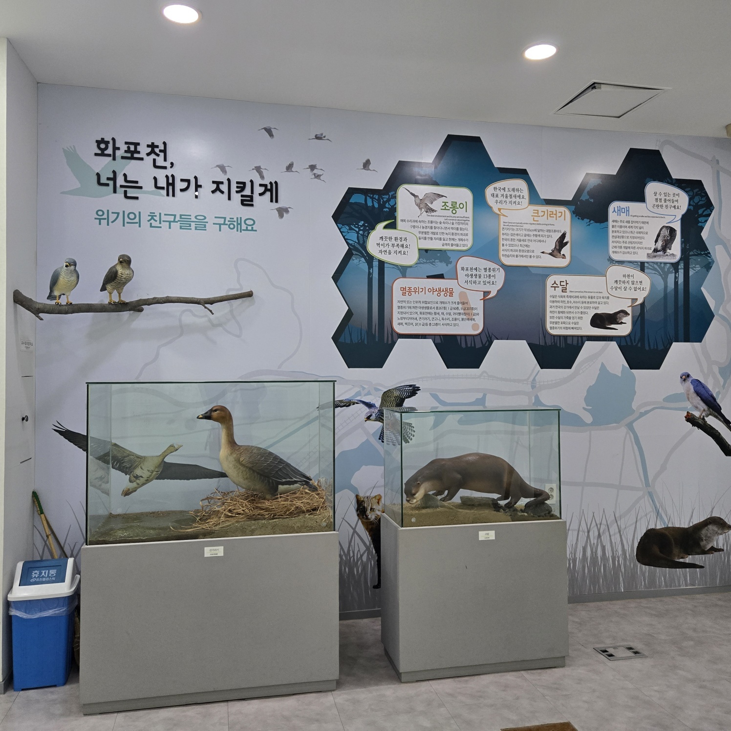 KakaoTalk_20250614_184509696_11.jpg
