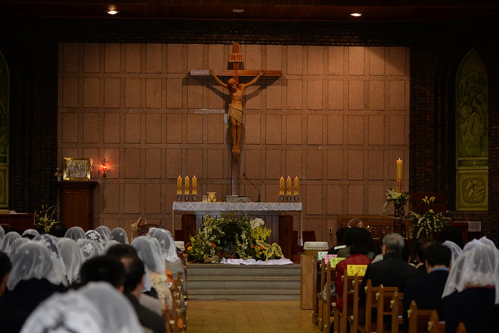 DSC_0519.jpg