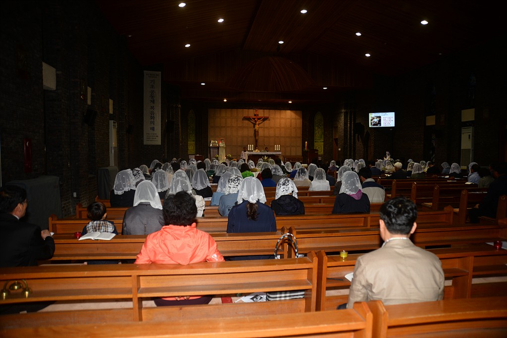 DSC_1338.jpg