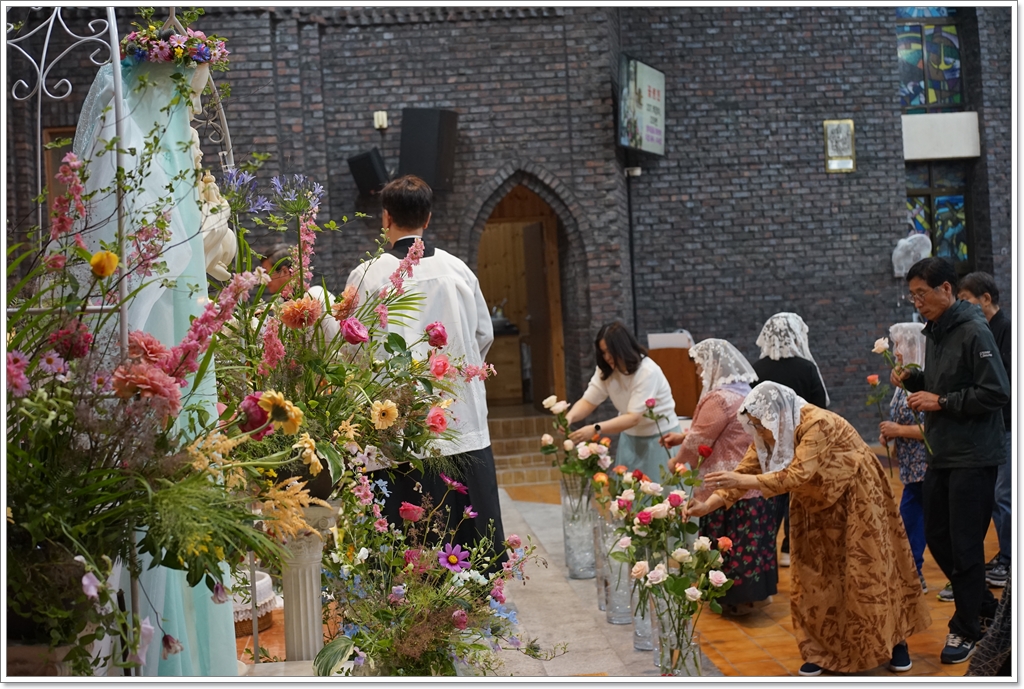 DSC08775.JPG