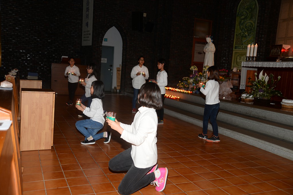 DSC_1377.jpg