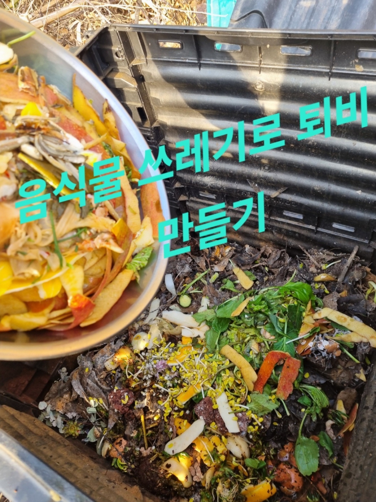 KakaoTalk_20240324_002935593.jpg