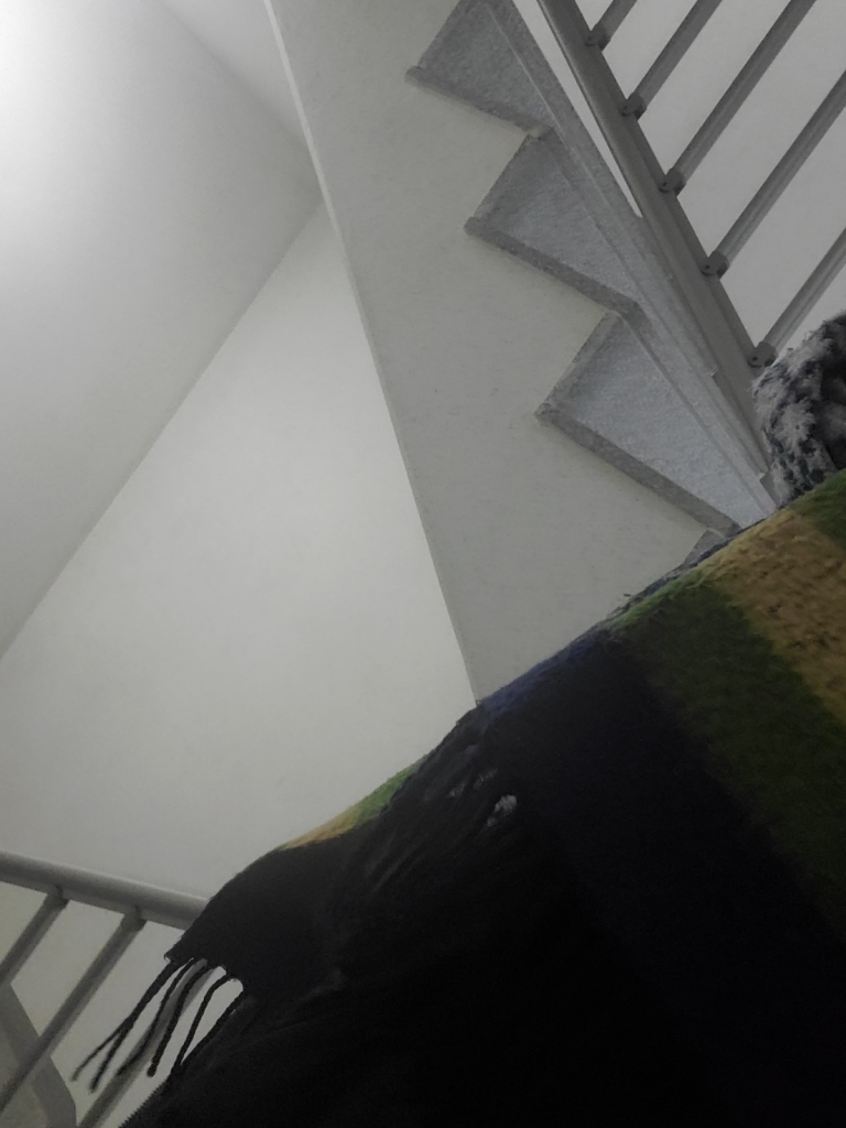 1701941011703.jpg