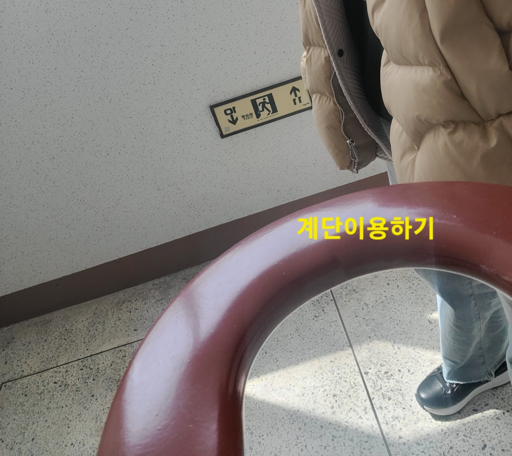 20240329_131913 - Yoonjin Shin (lucia).jpg