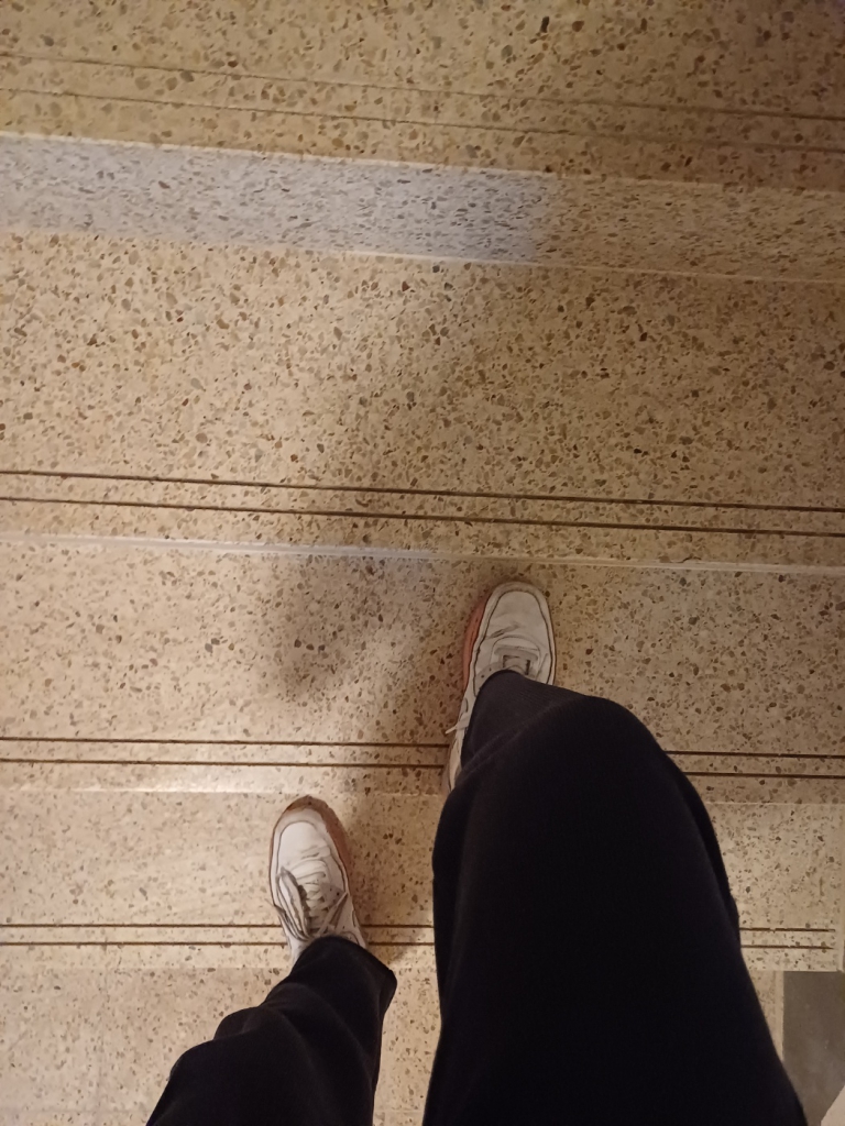 1702288995524.jpg