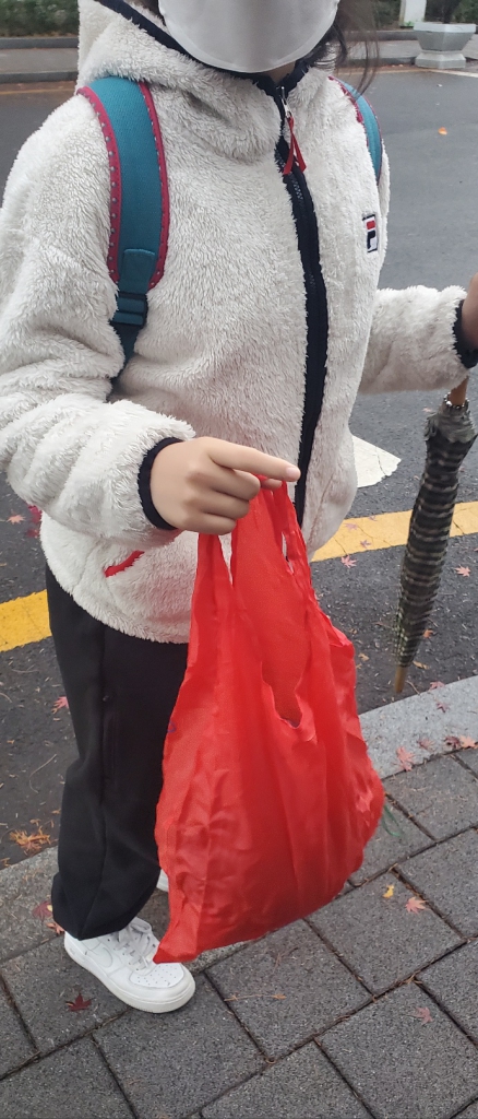 1702251790796.jpg