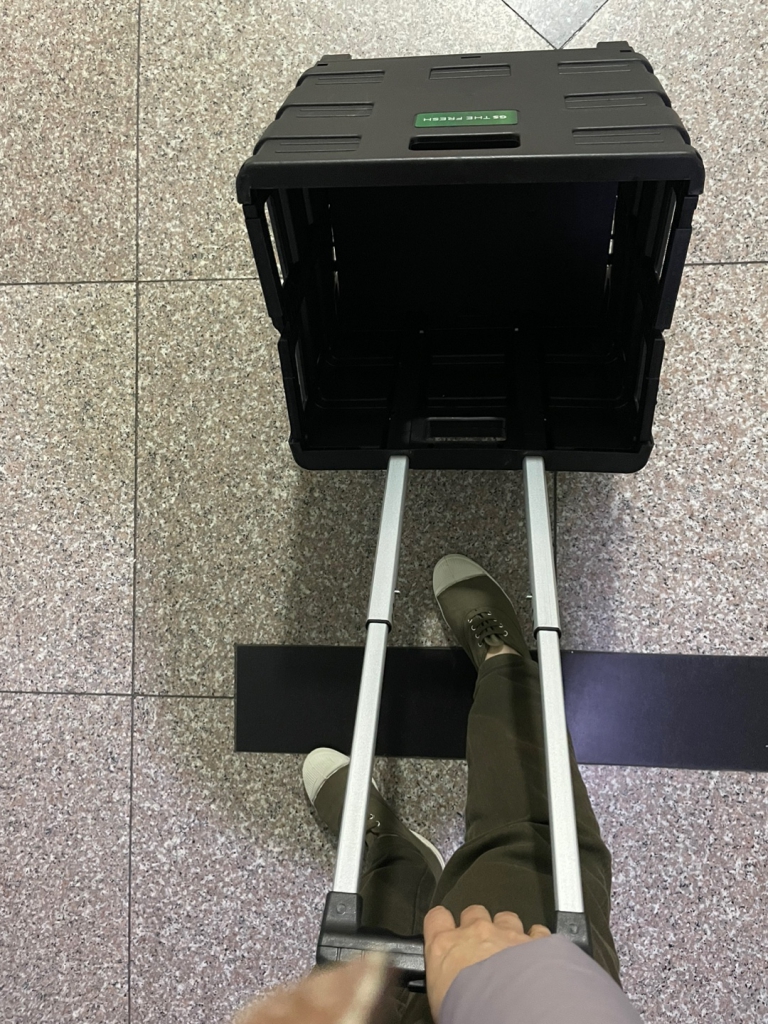 1702039328432.jpg