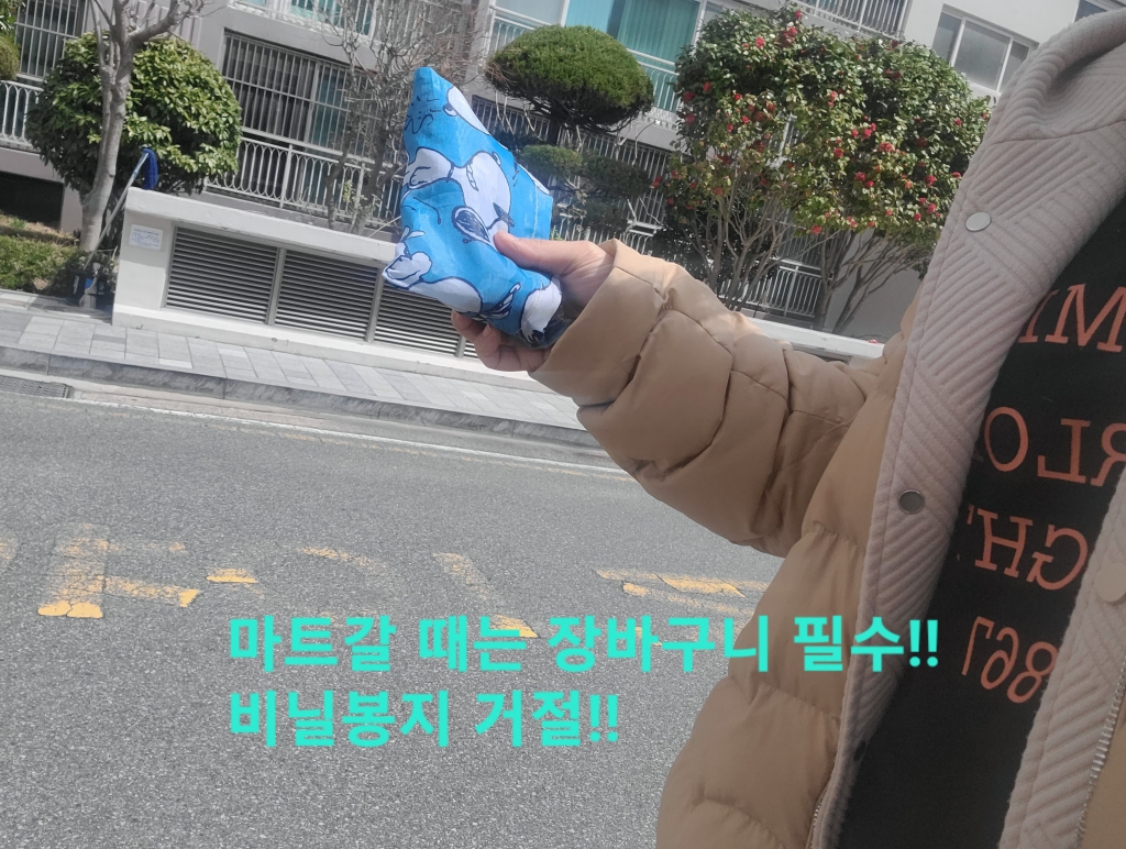 20240329_132026 - Yoonjin Shin (lucia).jpg