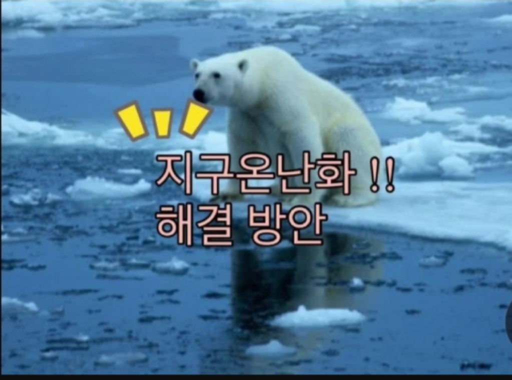 Screenshot_20231115_100932_NAVER.jpg