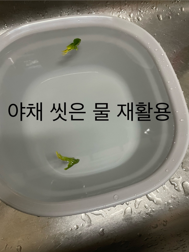 1702897820576.jpg