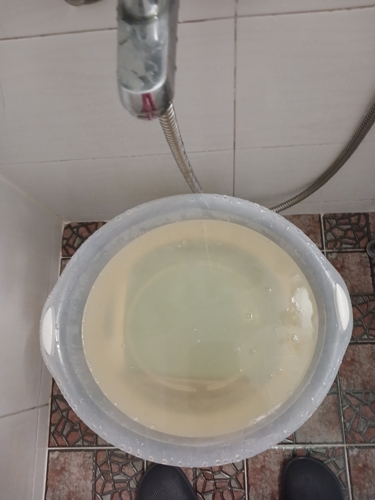 IMG_0207.jpeg