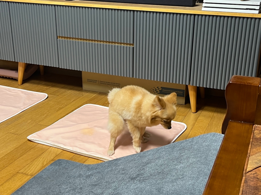 KakaoTalk_20231030_232007056_01.jpg