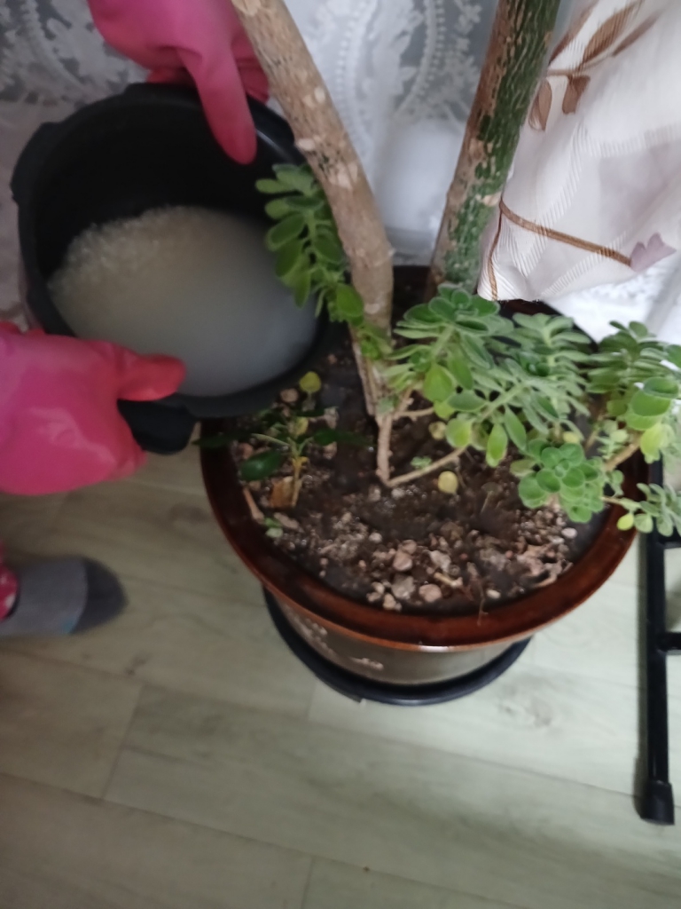IMG_0339.jpeg