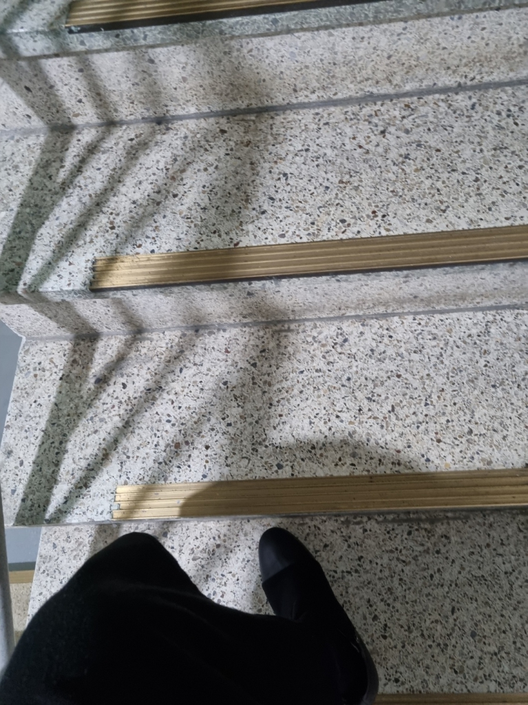 IMG_0103.jpeg