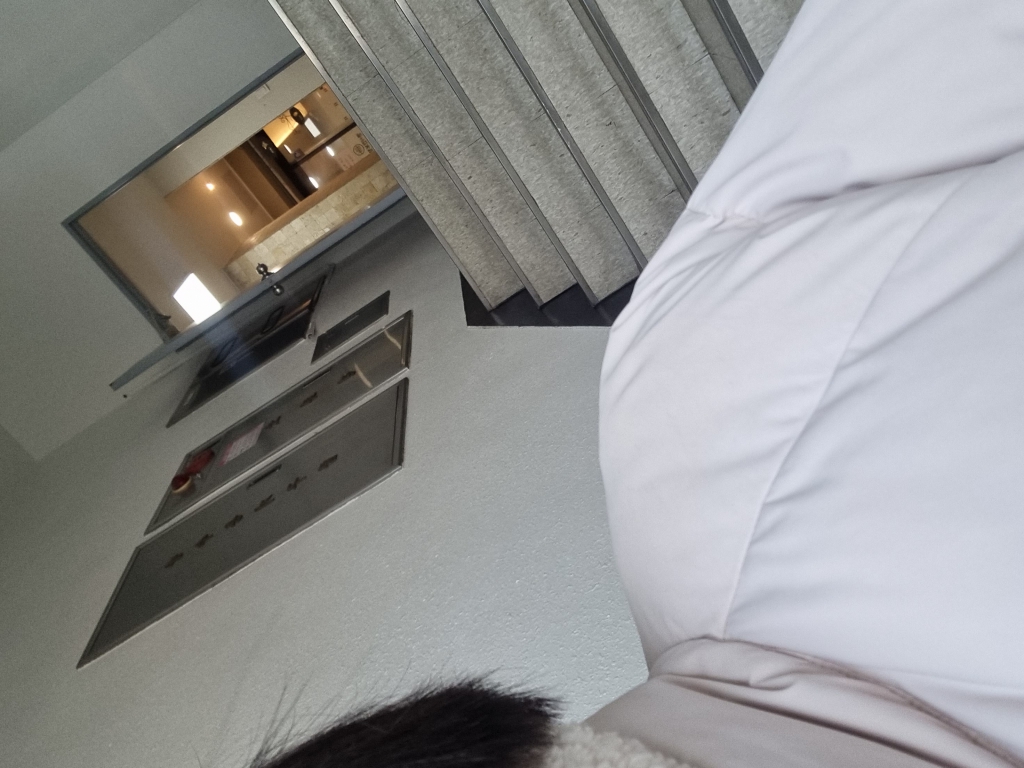 1702091373427.jpg