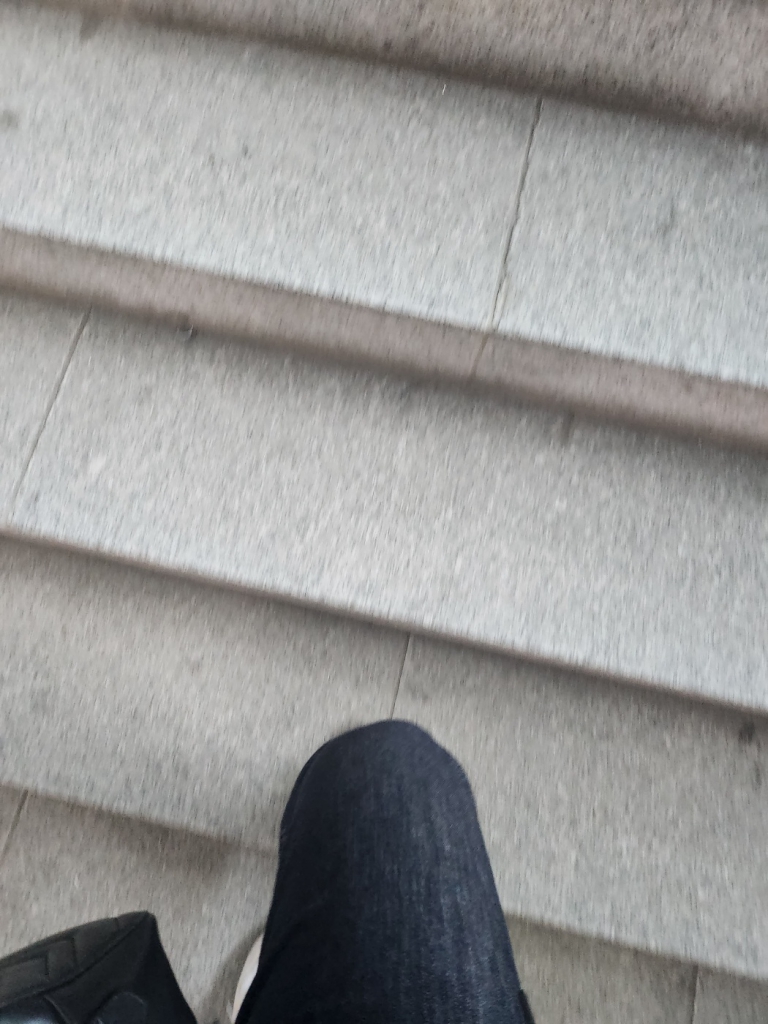 1702116303636.jpg