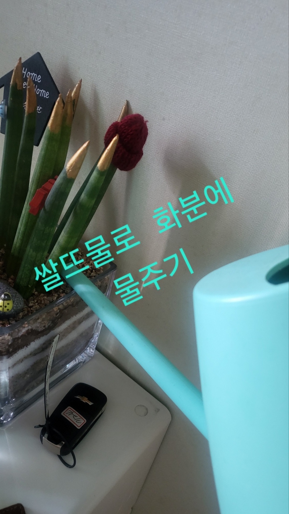 KakaoTalk_20240315_163440609.jpg