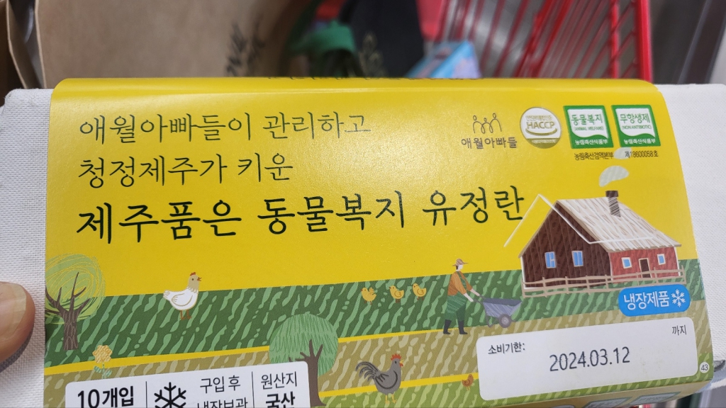 KakaoTalk_20240301_234349449.jpg