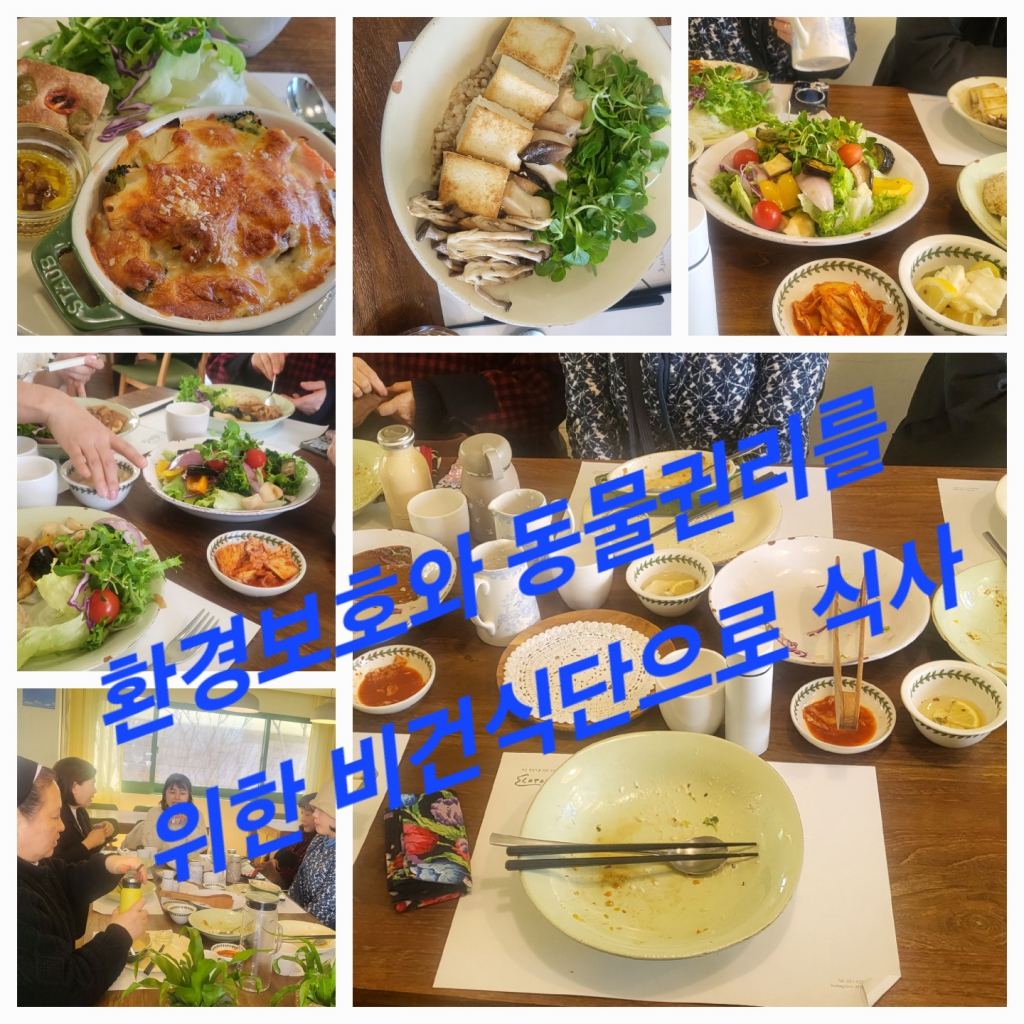 KakaoTalk_20240309_011340386_01.jpg