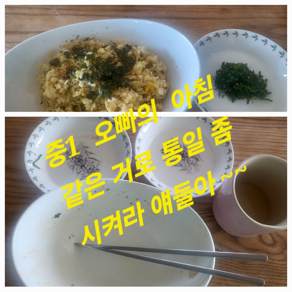 KakaoTalk_20240320_134211537.jpg