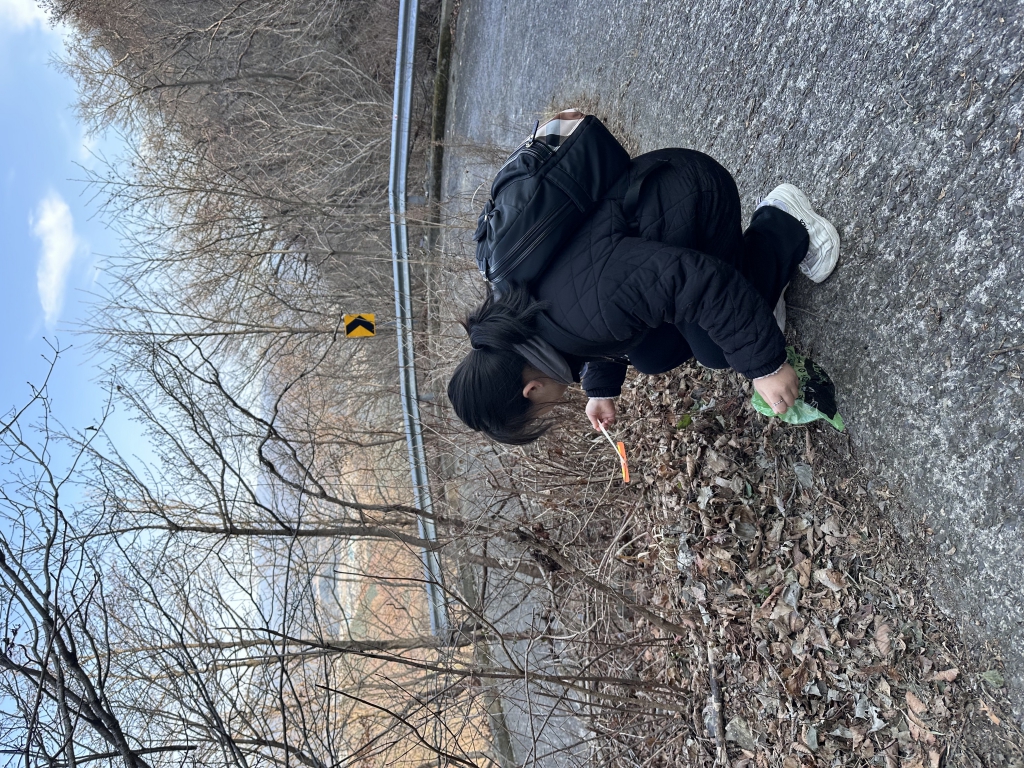1701731683767.jpg