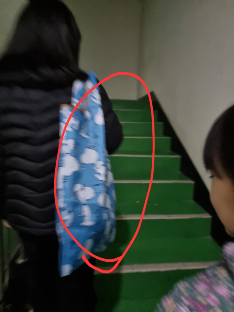 1701039997603.jpg