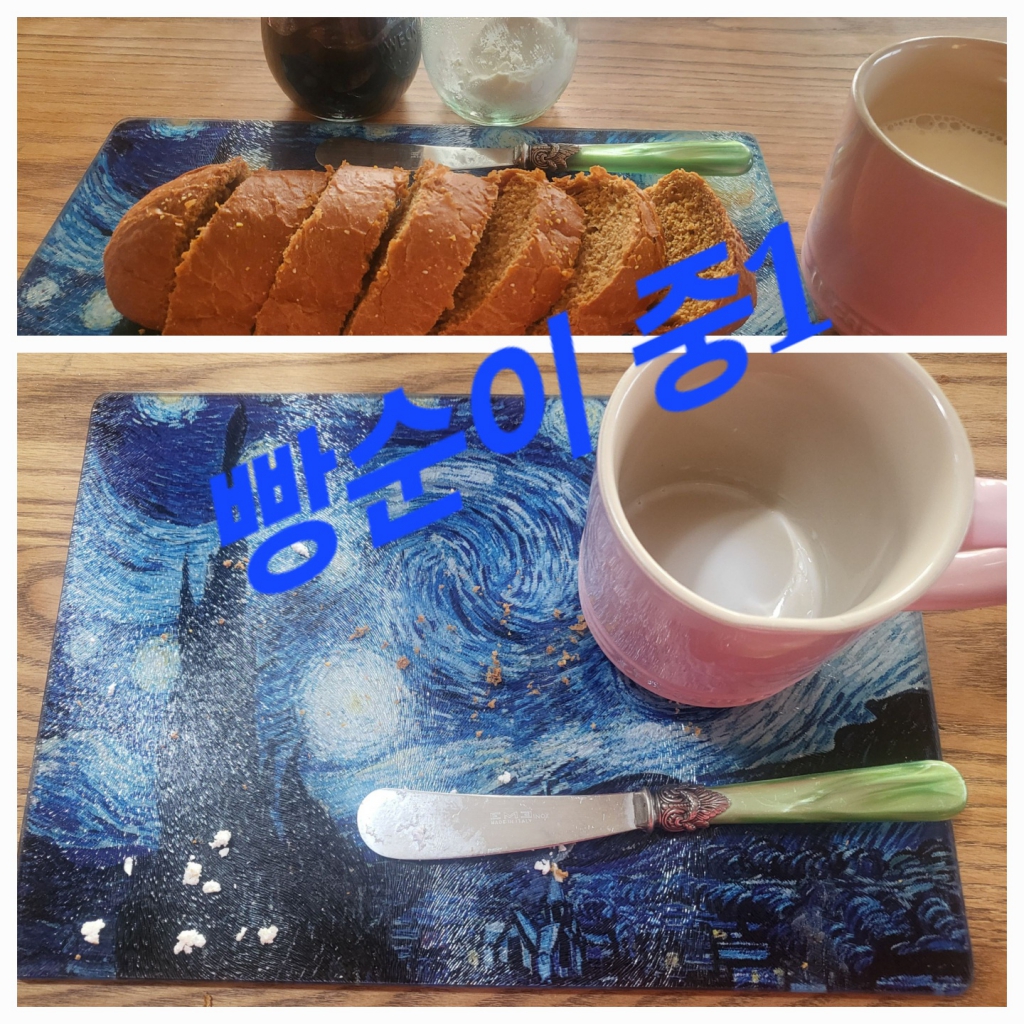 KakaoTalk_20240313_090641568_09.jpg