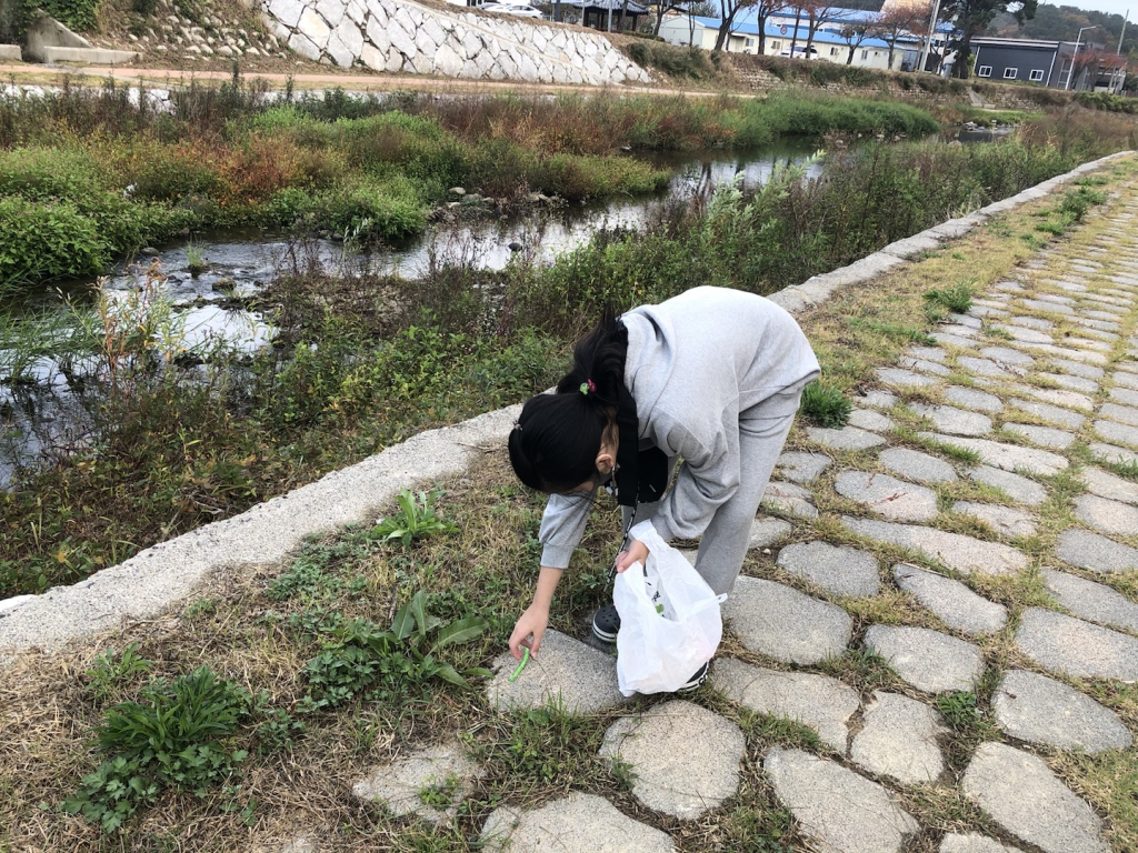 강변쓰레기줍기사진(1-3).jpg