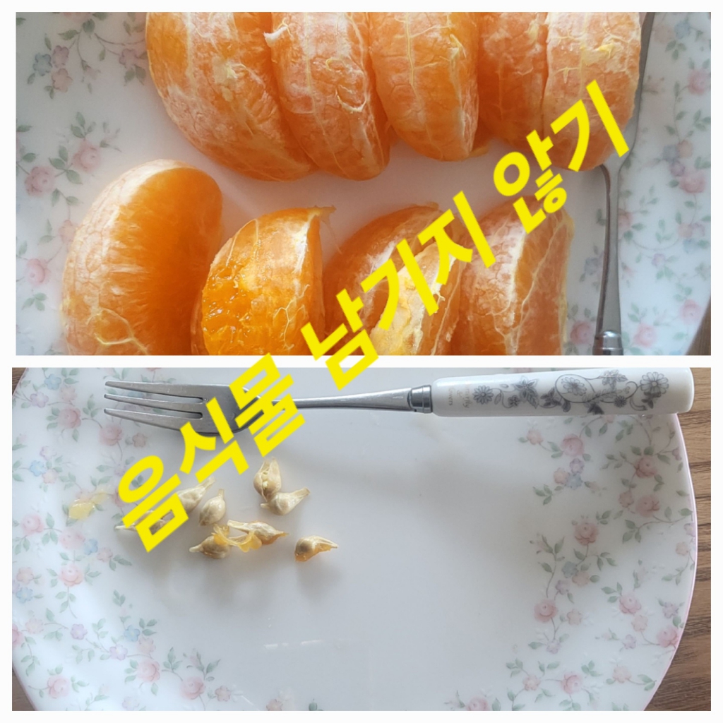 KakaoTalk_20240323_000102415_04.jpg