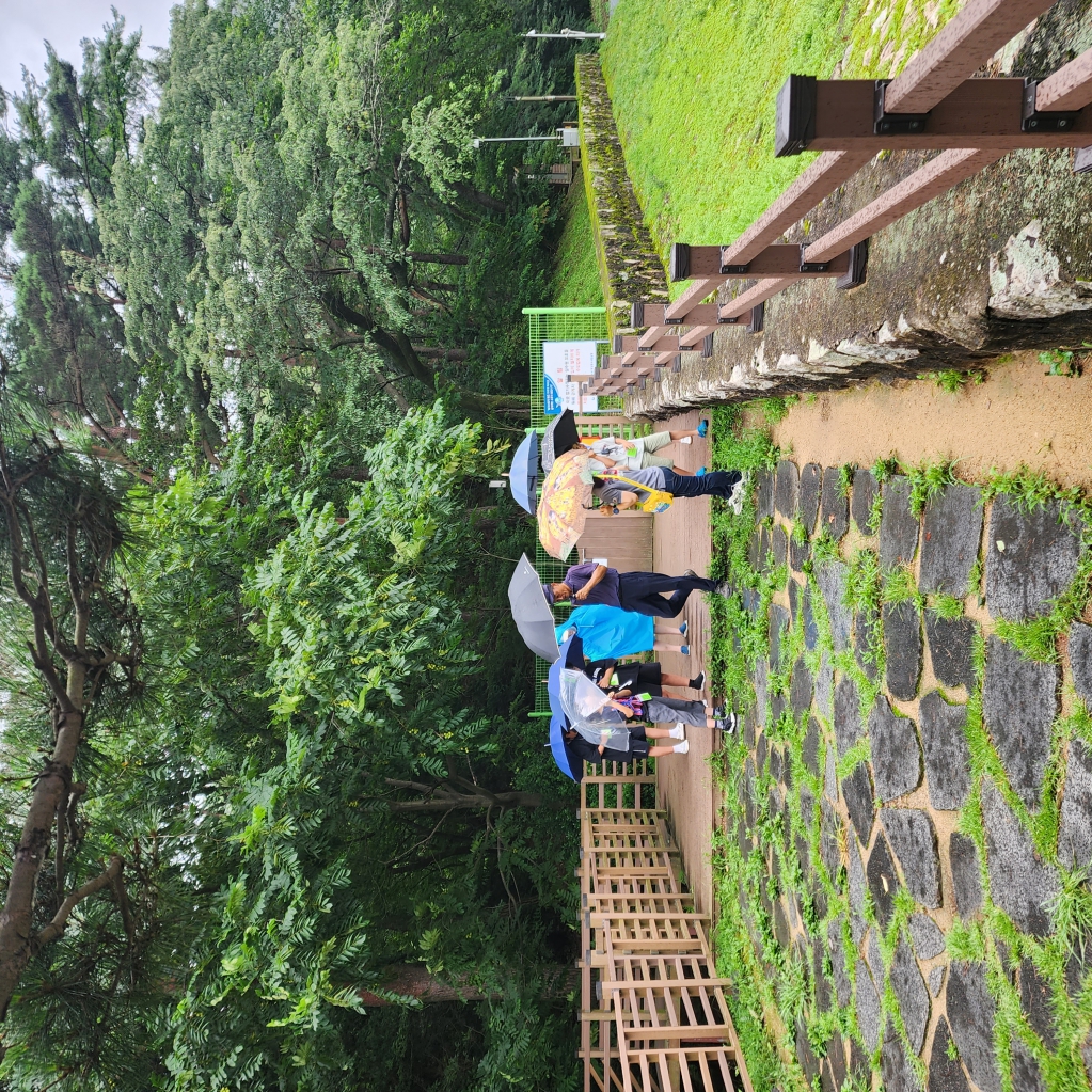 20230715_115213.jpg