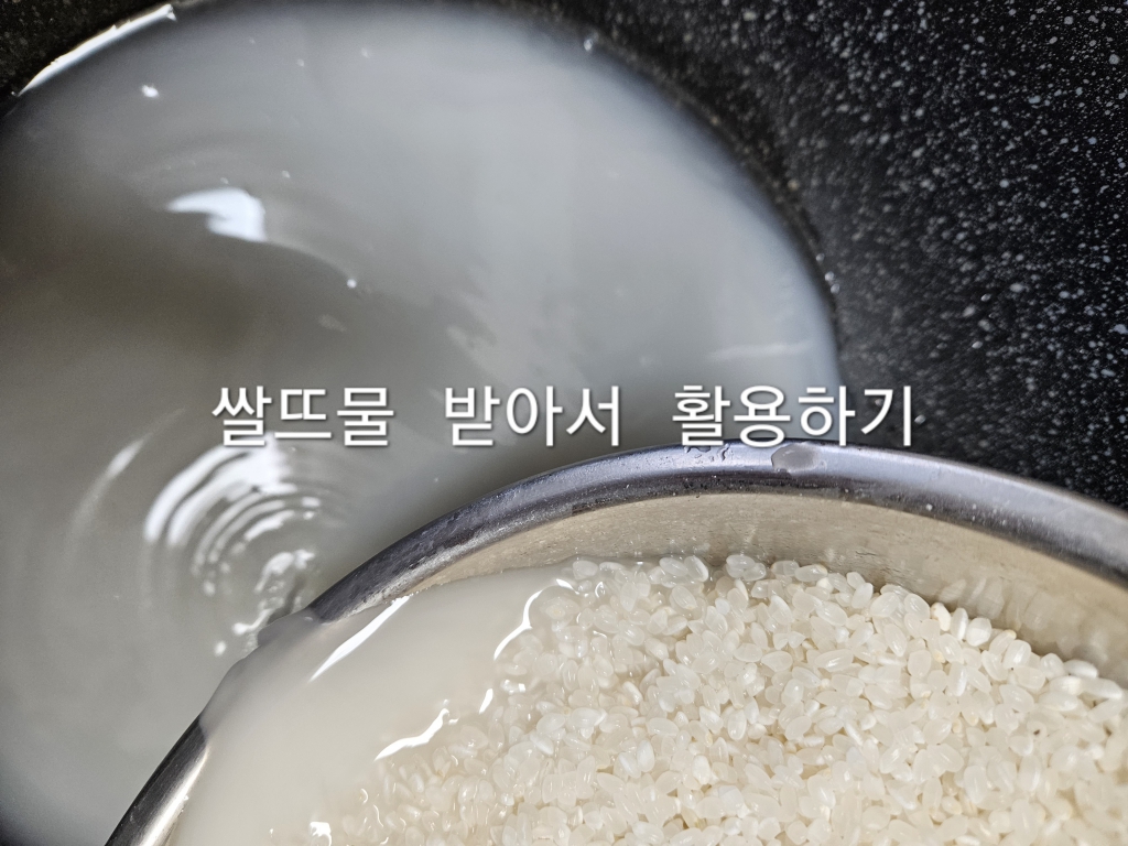 20240225_080036 - 김영진.jpg