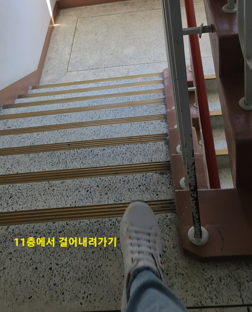20240310_144501 - Yoonjin Shin (lucia).jpg