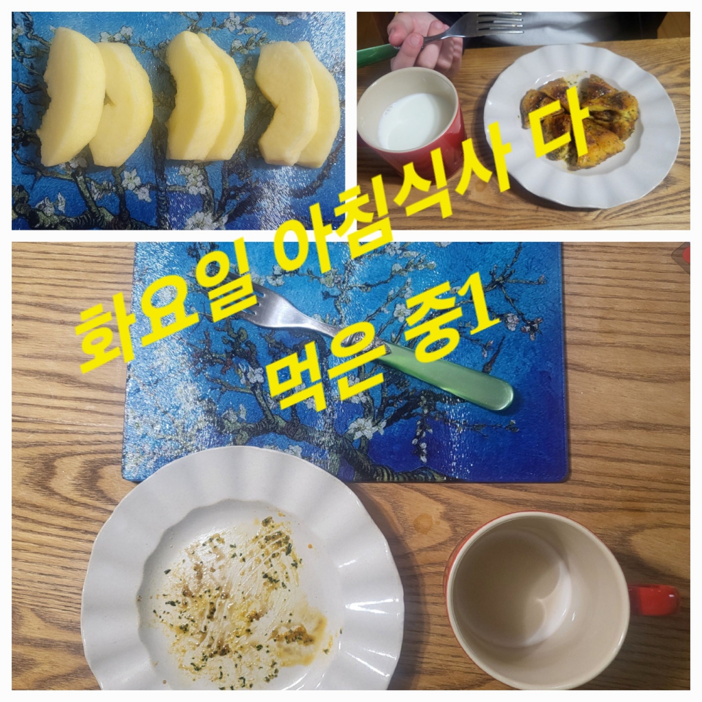 KakaoTalk_20240319_073714106.jpg