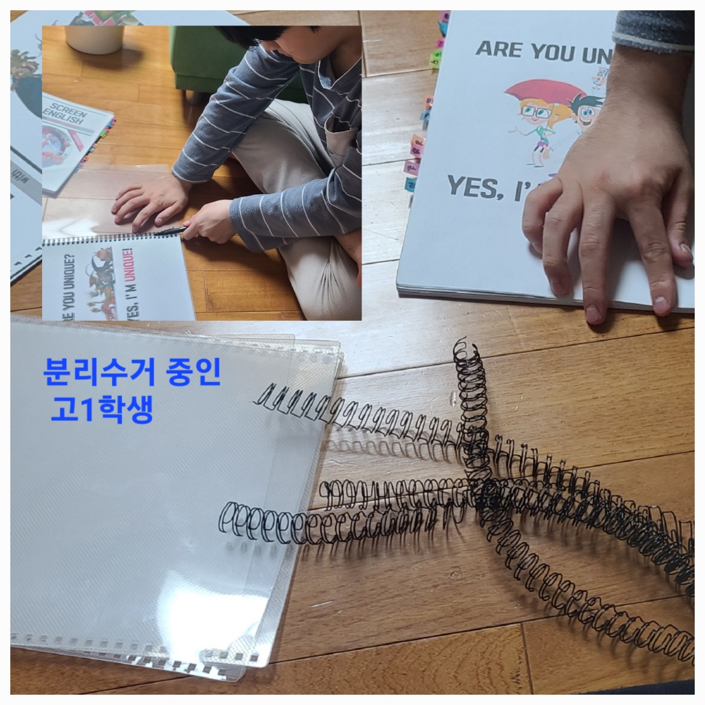 20240317_191328 - Yoonjin Shin (lucia).jpg